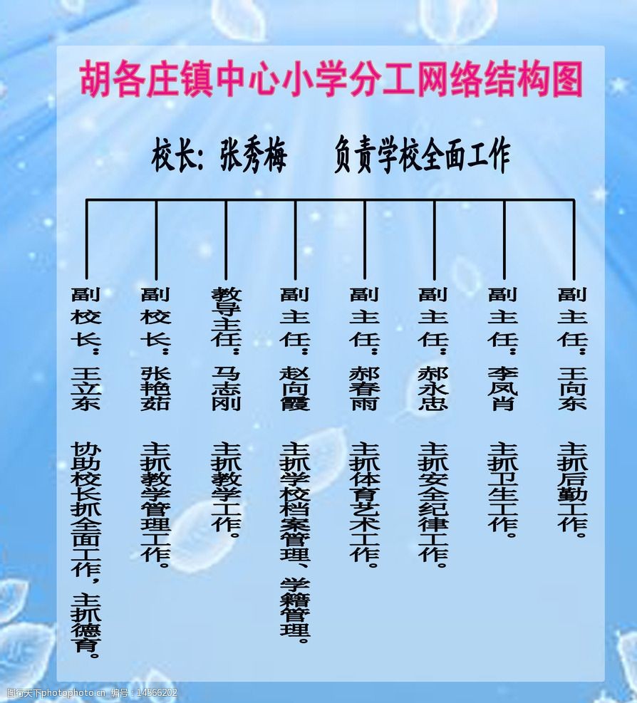 小学分工网络结构图图片