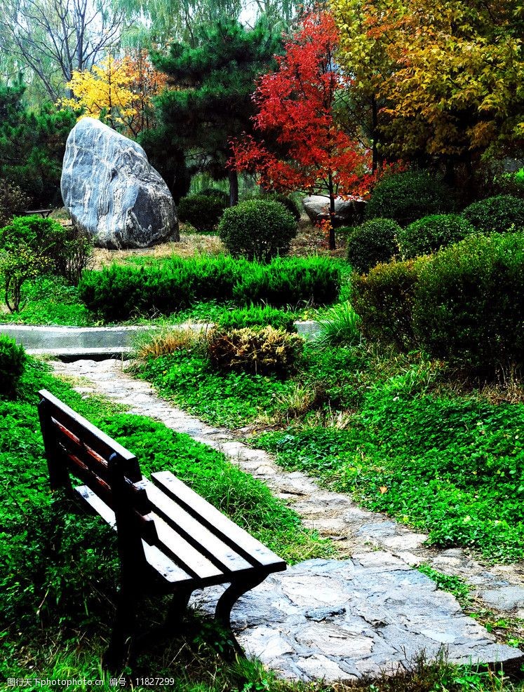 雨中公园小景图片