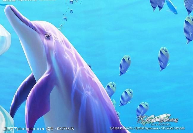 幻觉海豚梦幻的水中插画图片