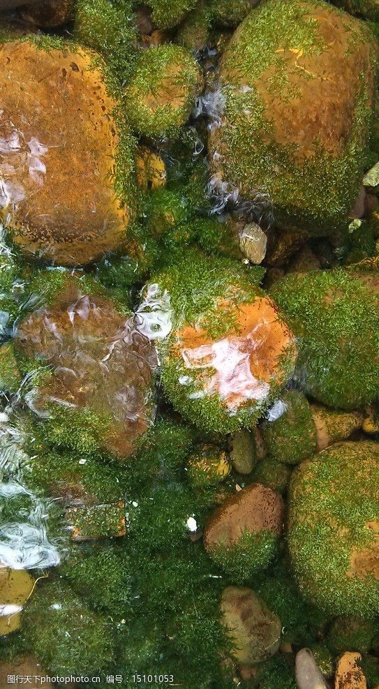 关键词:清澈凉泉水 清澈 凉泉 泉水 象州凉泉 清水 摄影专辑 自然风景