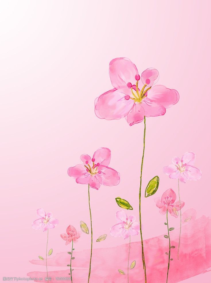 淡粉色花朵背景图图片