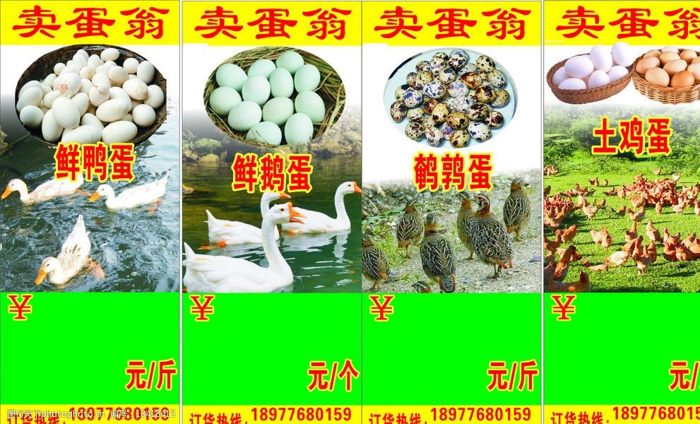 卖蛋价格牌 蛋价格 鸡蛋 鸭蛋 鹅蛋 鹌鹑蛋 鸡 鸭 鹅 鹌鹑 广告设计