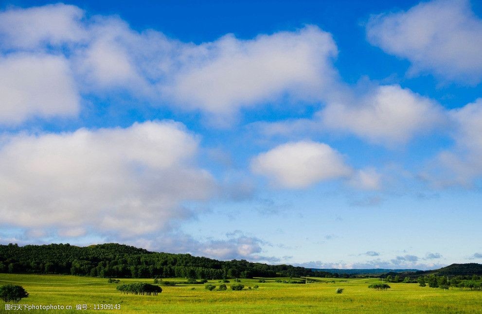 蓝天白云草地图片