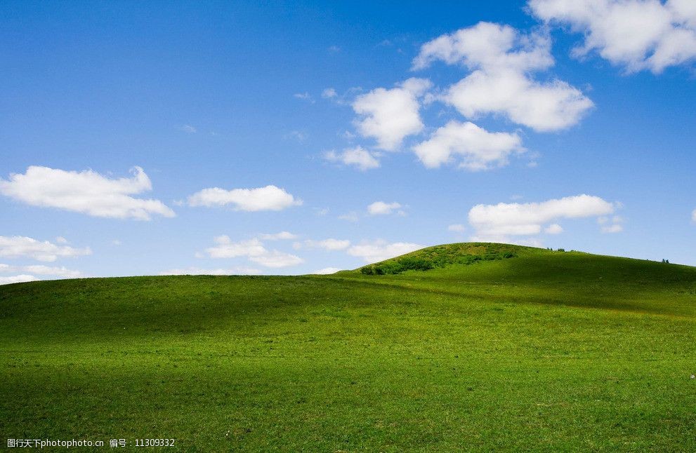 蓝天白云草地图片