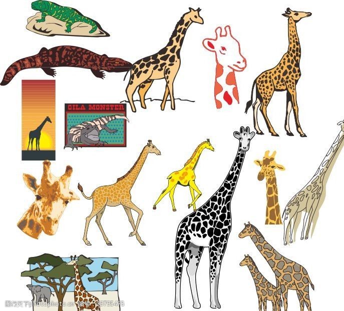 设计图库 生物世界 野生动物   上传: 2013-11-10 大小: 432.