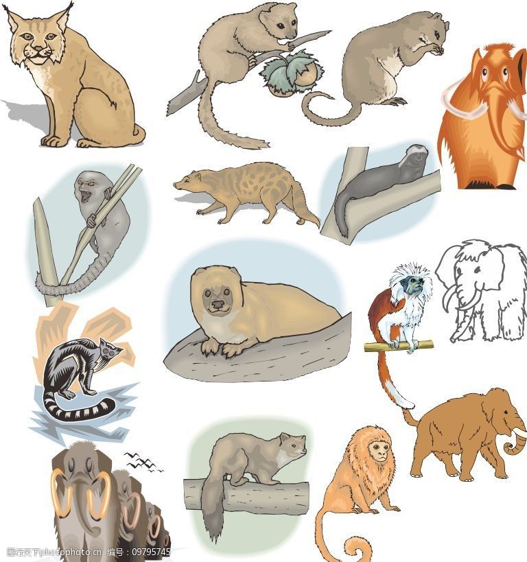 设计图库 生物世界 野生动物   上传: 2013-11-10 大小: 447.