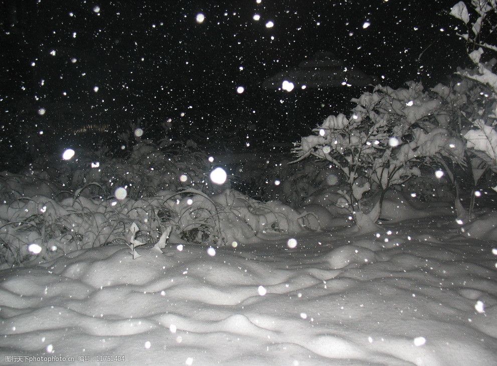 大雪纷飞图片夜景图片