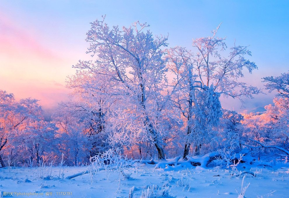 關鍵詞:吉林霧凇 吉林 霧凇 冬季 美景 冰雪 自然風景 自然景觀 攝影