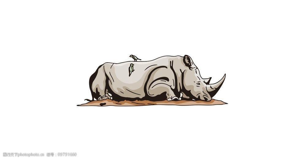 犀牛矢量图图片图片-图行天下图库
