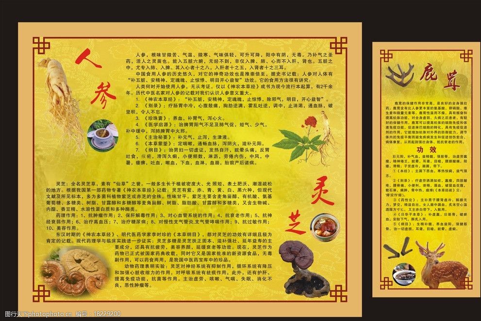 人参鹿茸灵芝广告图片