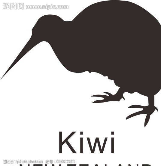 新西兰的动物简笔画图片