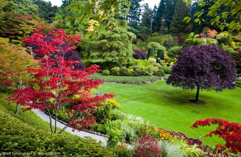 公园小景绿色图片