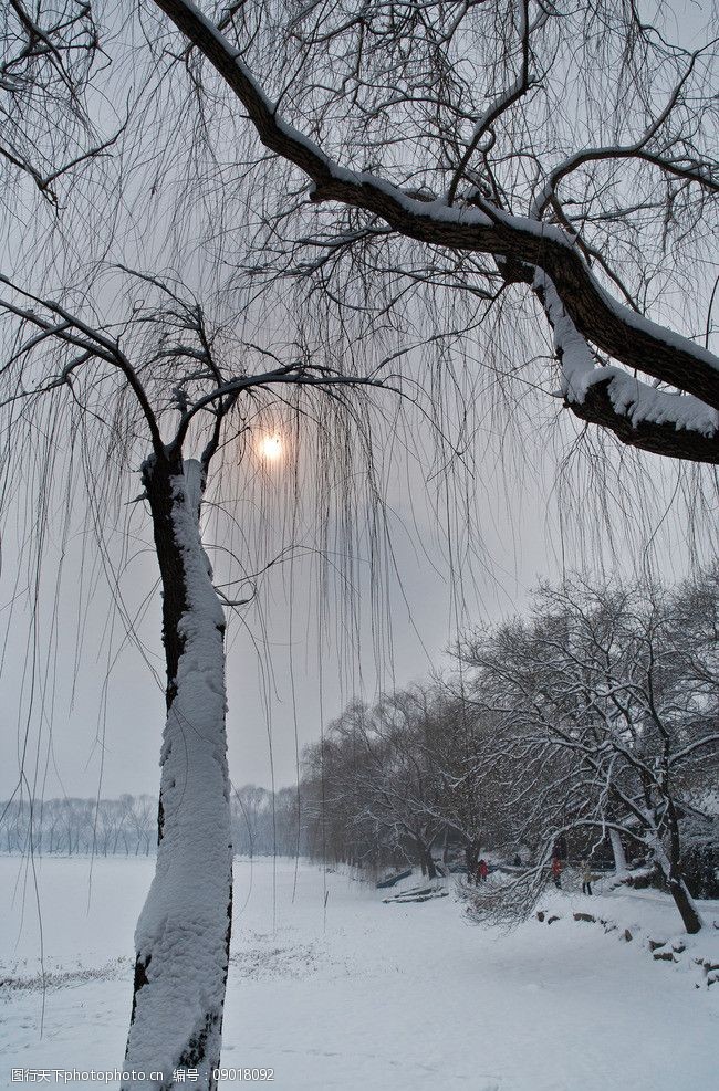 昆明湖的晴雪图片