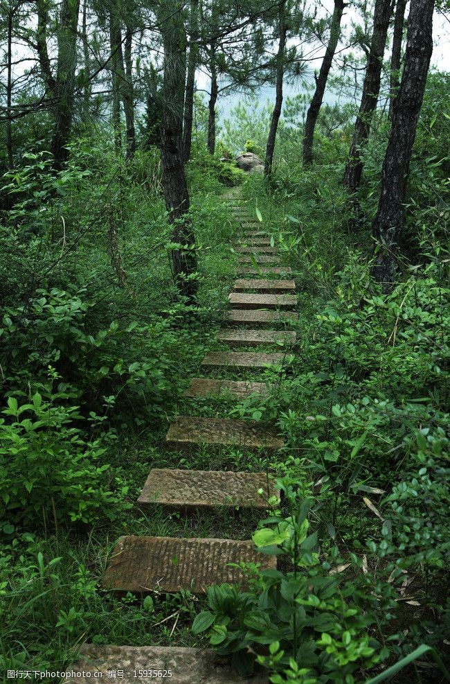 歙县王村霸王山图片