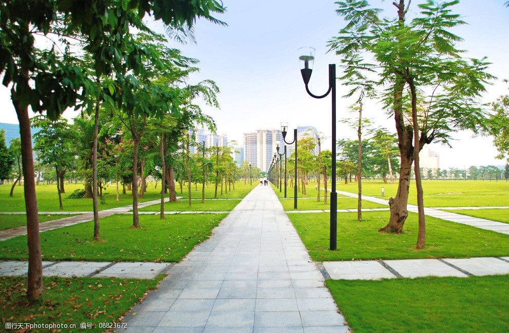 公园小径图片