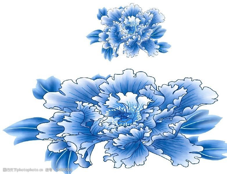 牡丹花(通道分层)图片