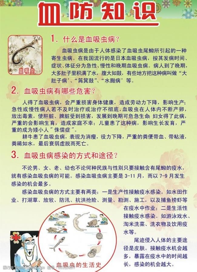 血防知识展板图片