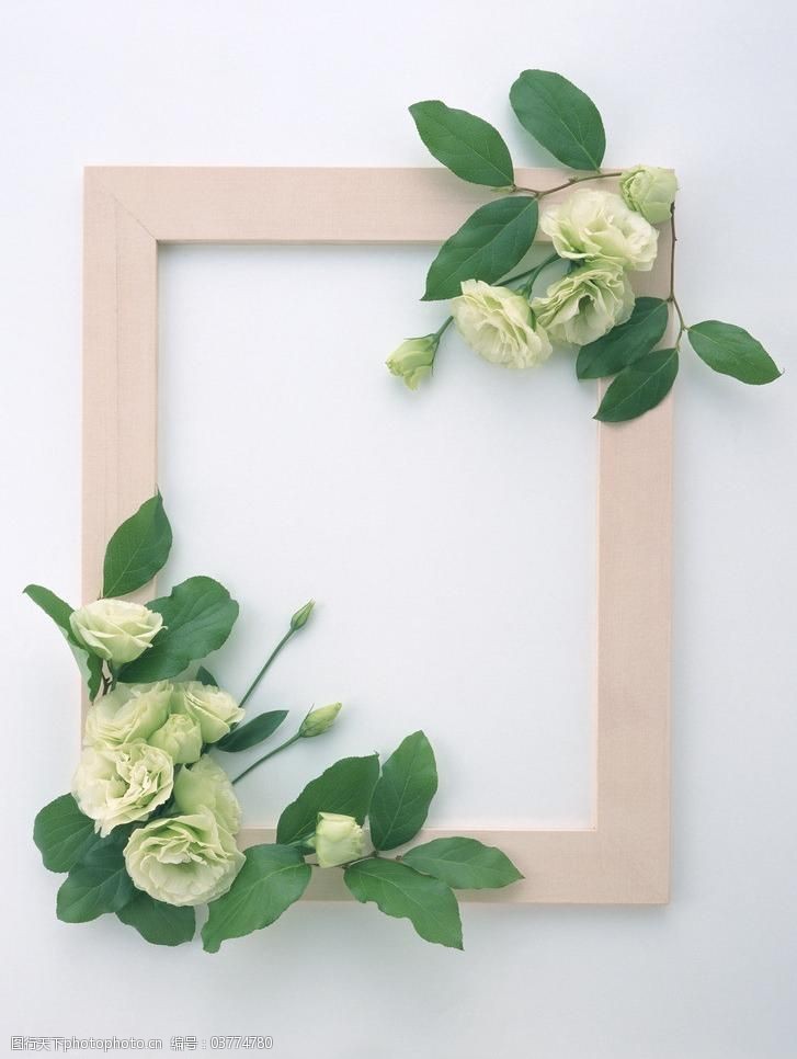 实物花边相框图片