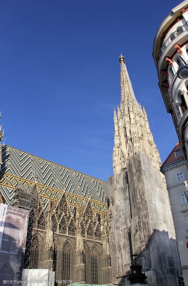 维也纳圣斯特凡大教堂图片