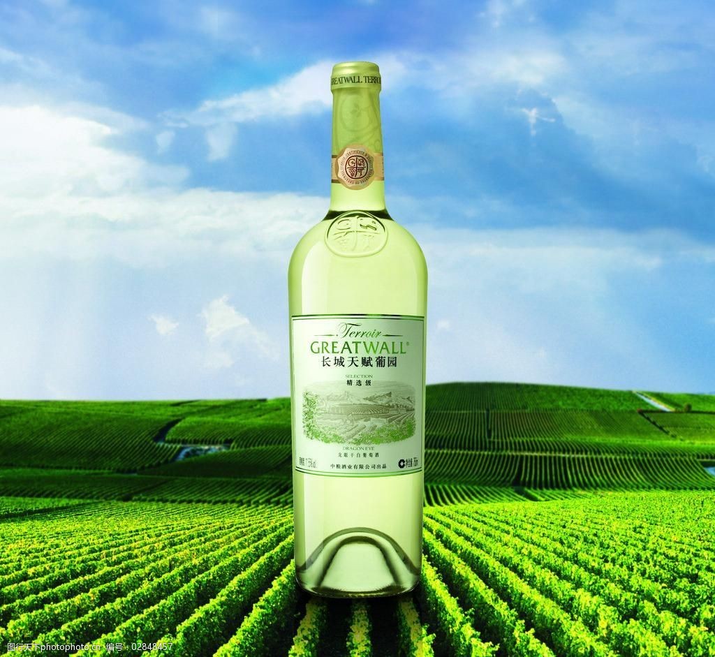 长城天赋干白图片