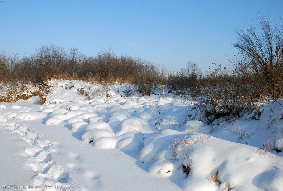 河南农村雪景图片