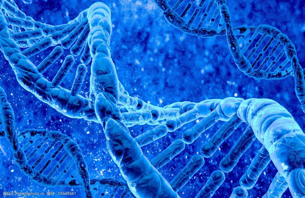 dna遗传基因图片