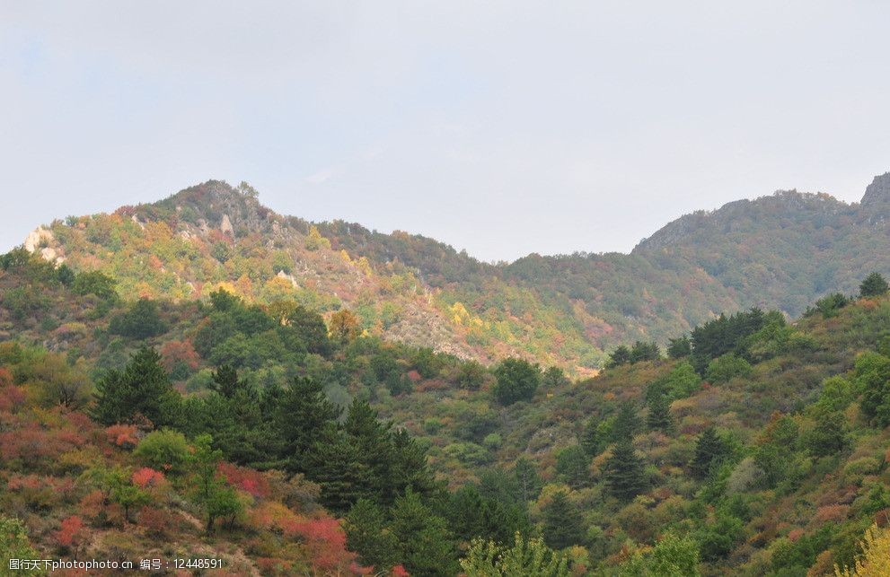 山坡秋景图片