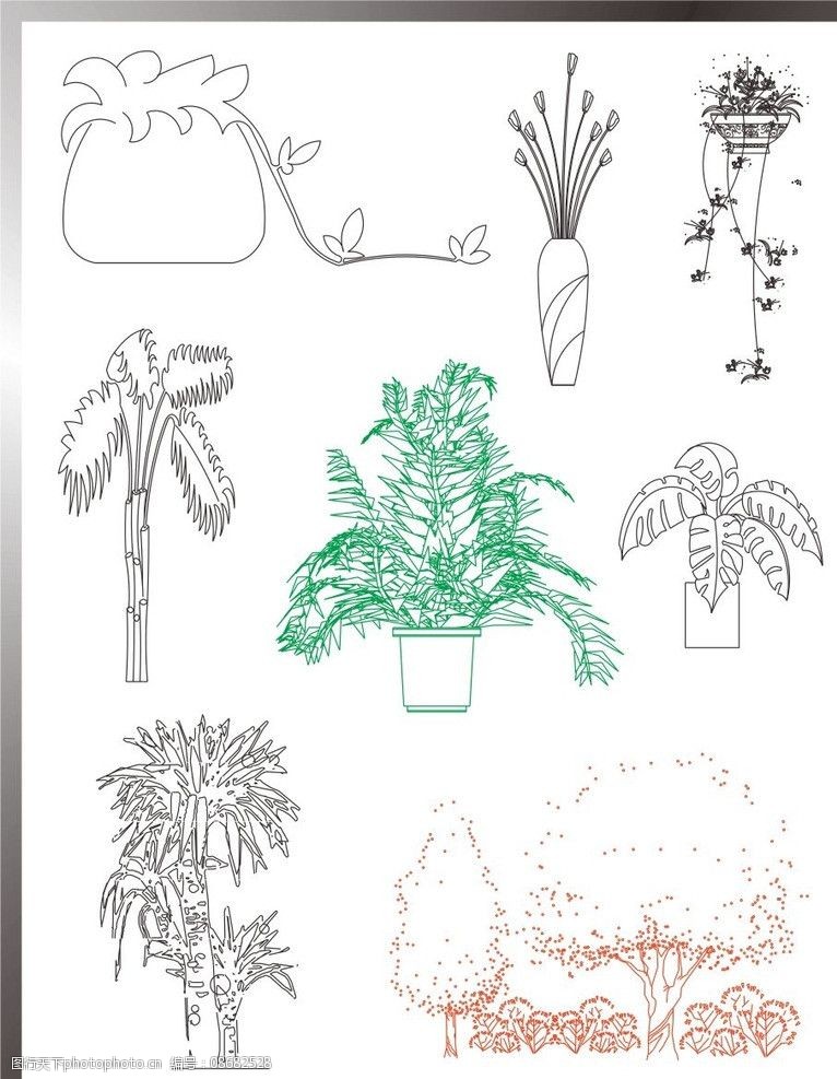 植物群落手绘立面图图片