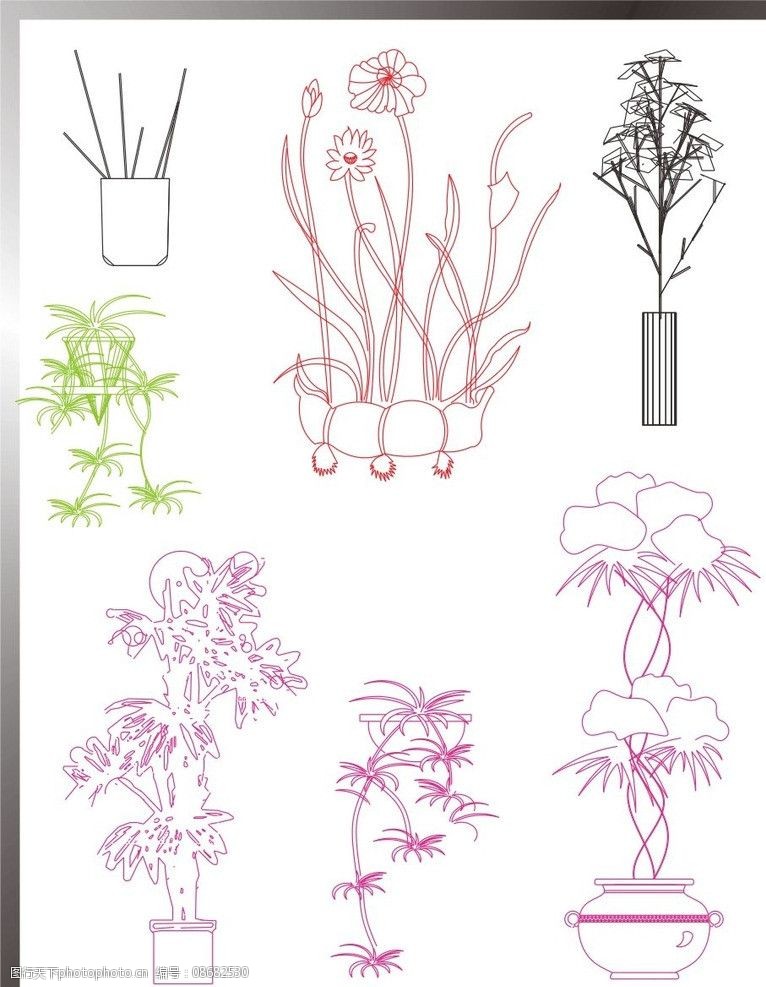 植物立面图图片