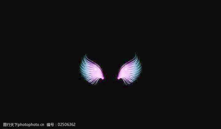 天使翅膀光效背景视频图片