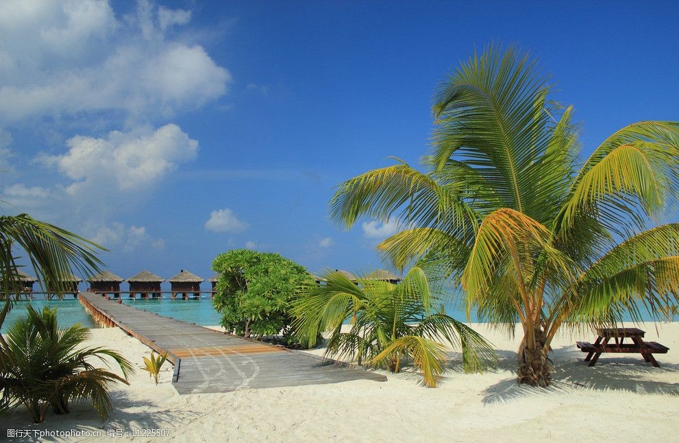 浪漫海边图片图片-图行天下图库