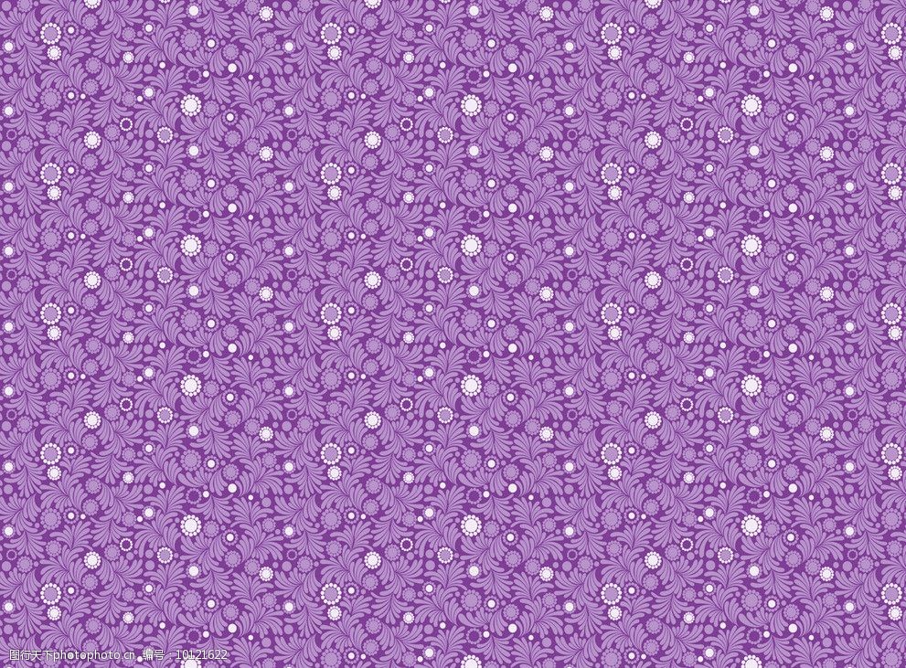 紫色系列多叶白葵花图图片