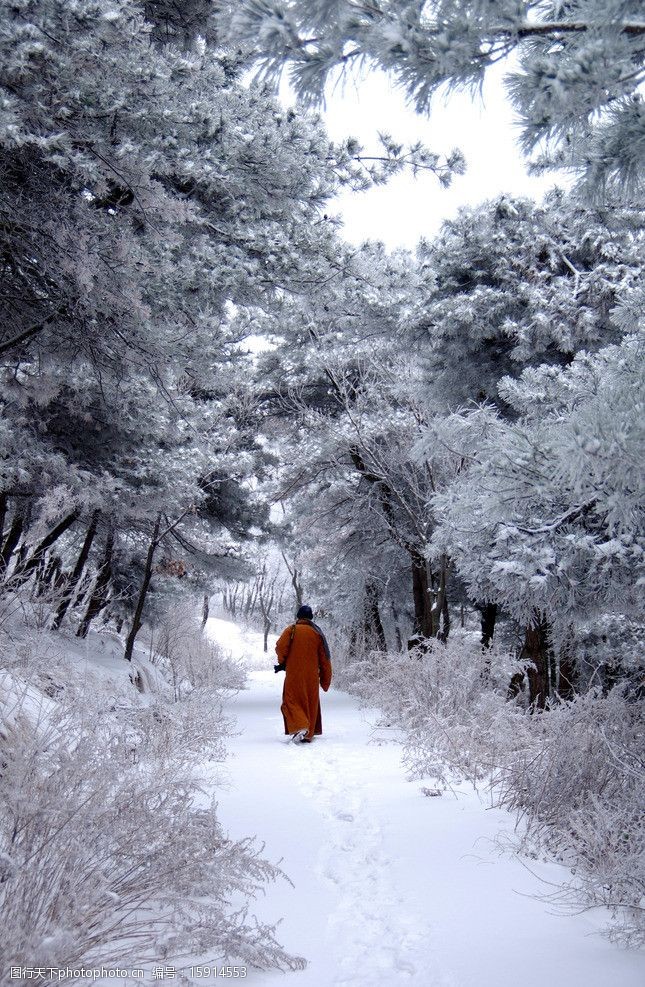 渑池韶山雪景图片