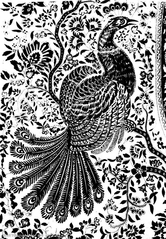 孔雀装饰画图片
