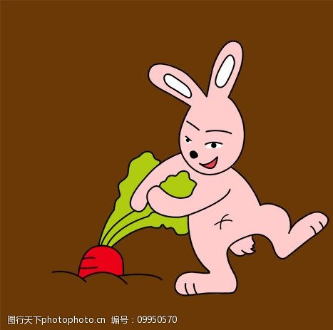小兔拔小萝卜图片