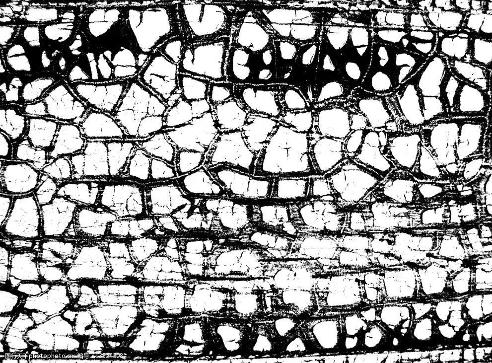 关键词:设计 黑白底纹边框 mask 通道 凹凸 树皮 鳞片 背景底纹 底纹