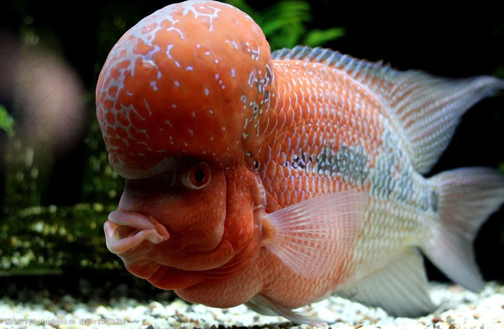 长沙海洋世界图片