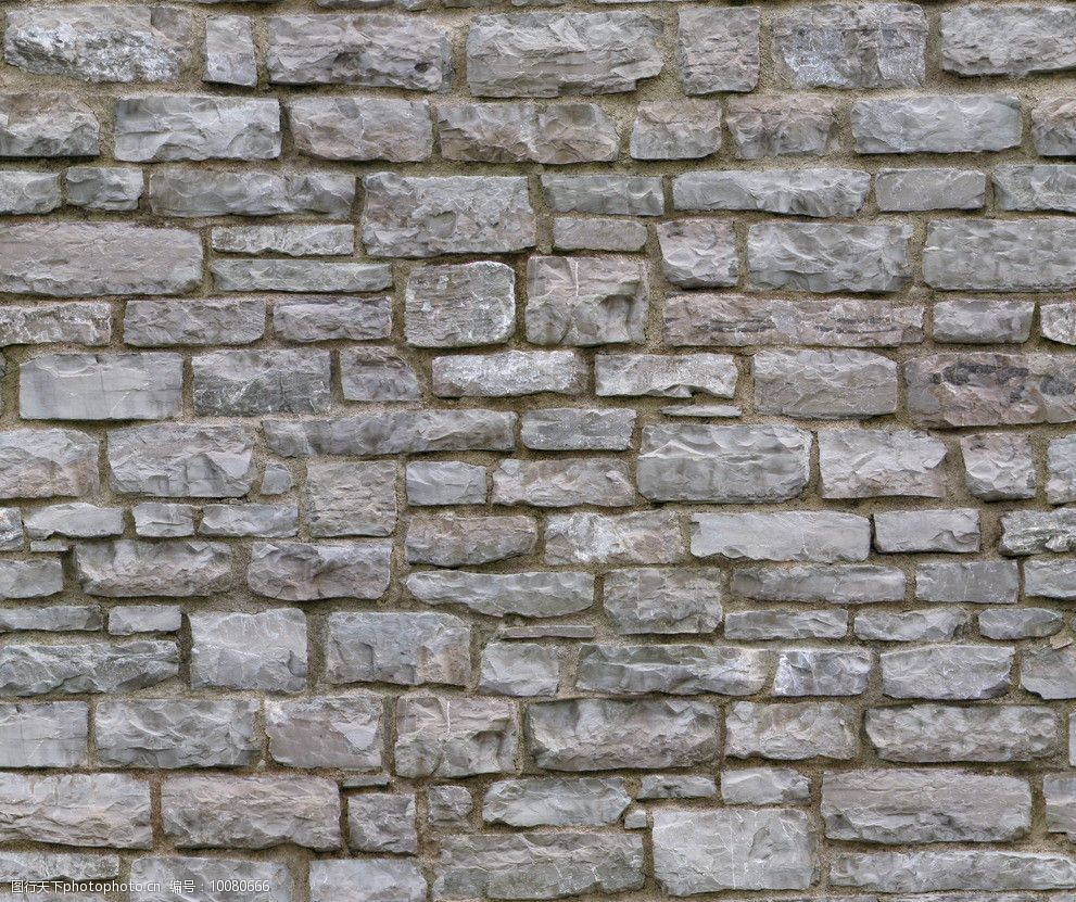 文化墙贴图图片