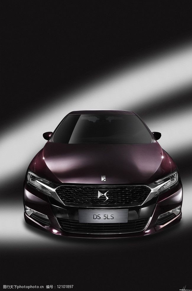 雪铁龙ds图片