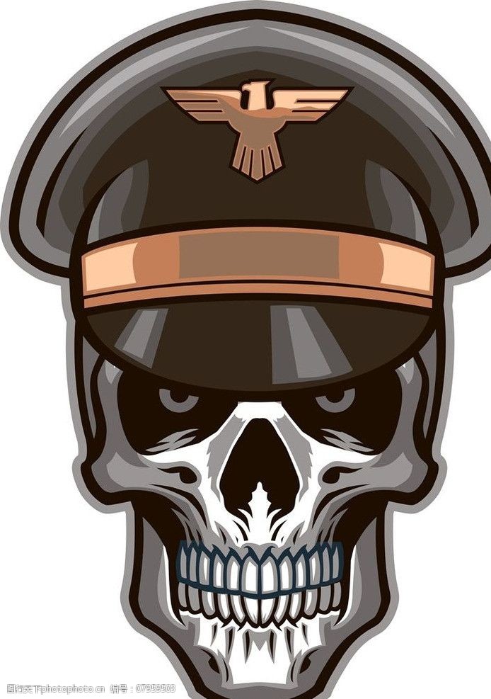 skull骷髅头骨图片