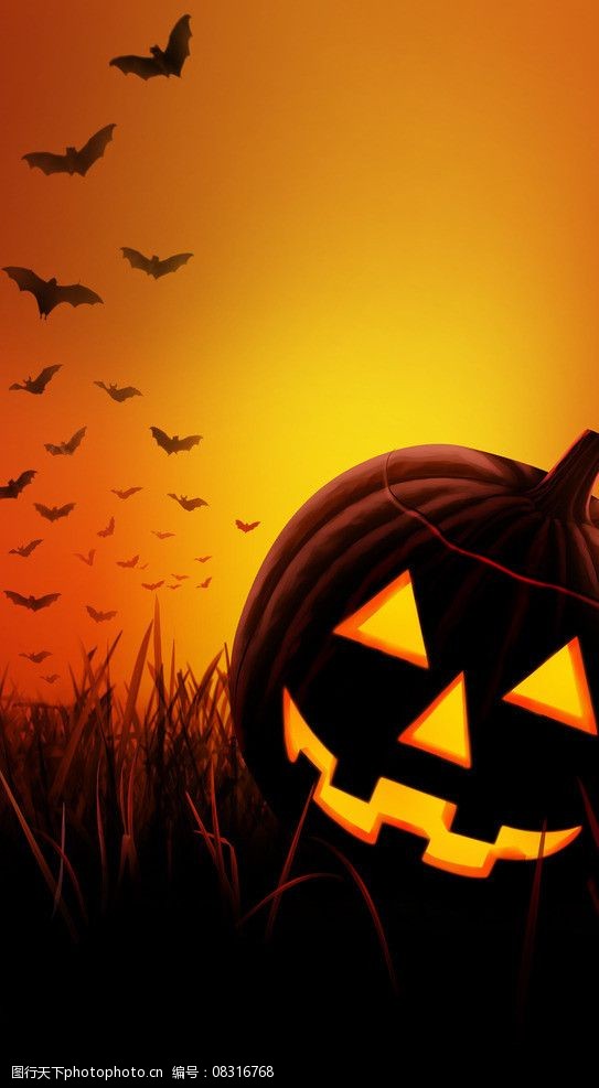 万圣节背景图图片