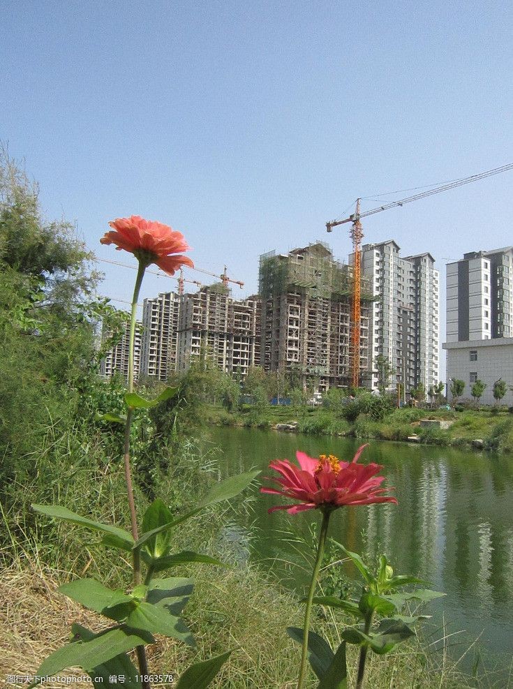 关键词:楼盘外景 建筑摄影 楼盘景色 夏日 阳光水岸 水岸建筑 项目