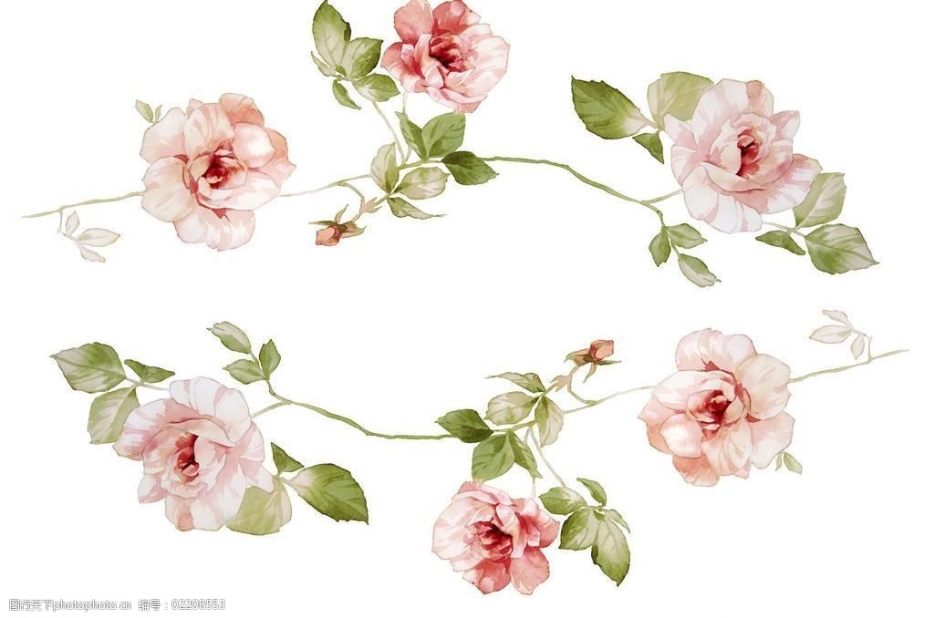 水墨玫瑰花图片