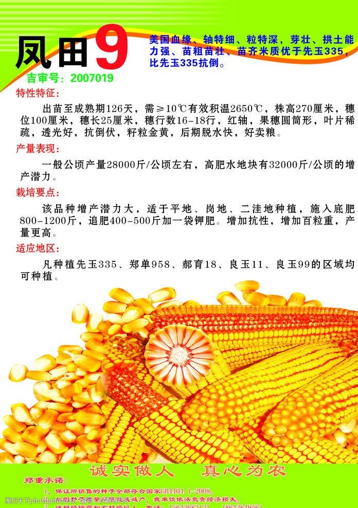 凤田100玉米种子图片