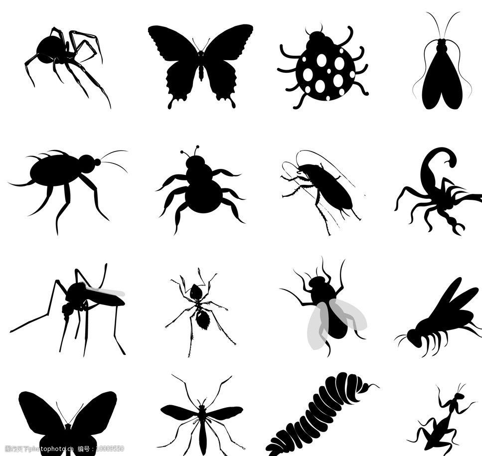 设计图库 生物世界 昆虫   上传: 2014-4-12 大小: 1.
