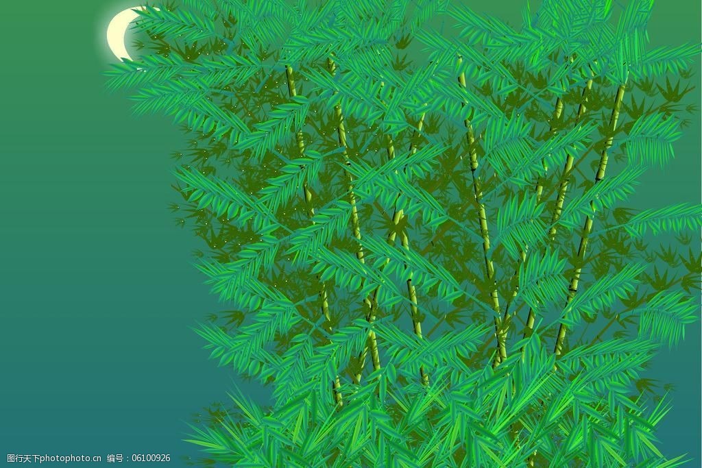 月光下的凤尾竹图片
