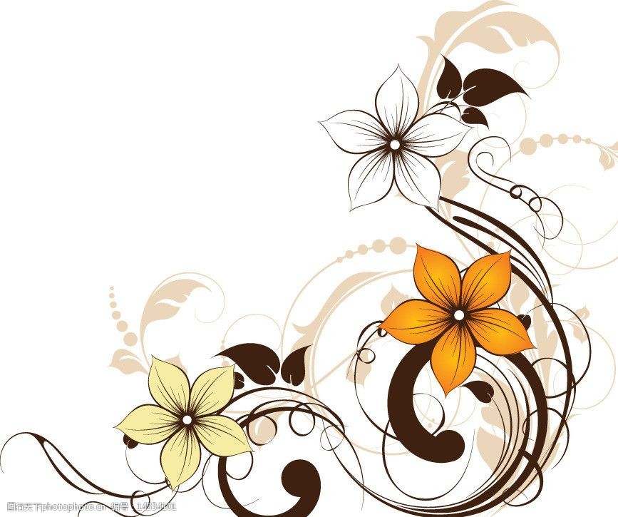植物花纹花纹花边图片