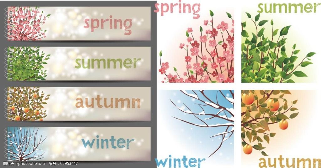 春夏秋冬的植物