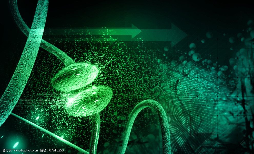 生殖细胞 精子 卵子 受精 医学 医疗 医疗保健 医疗护理 现代科技