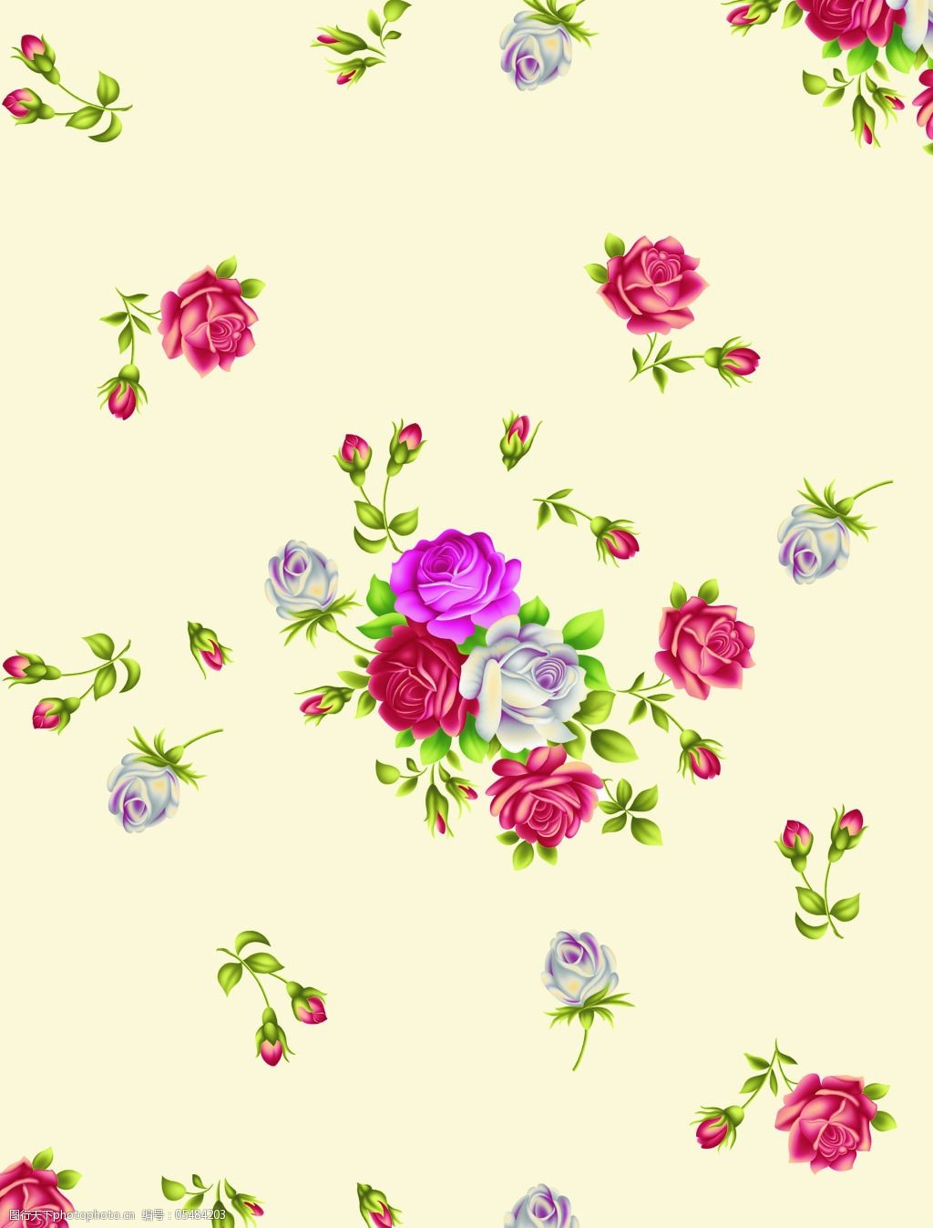 玫瑰花清新背景图案